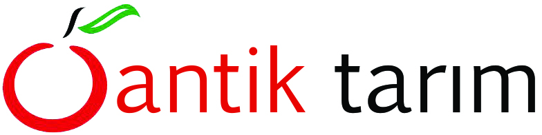 antik-tarim-logo